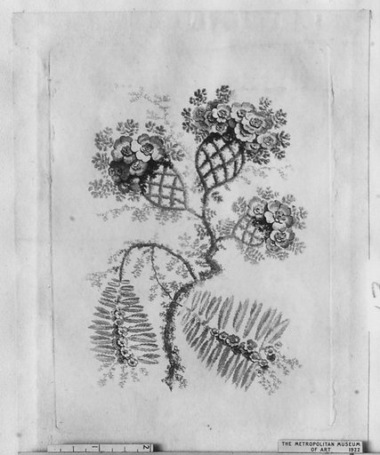 Flowers, from "Nouvelle Suite de Cahiers de Fleurs idéales a l'usage des dessinateurs et des peintres"
