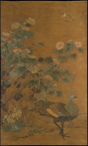 Peahen and hibiscus
