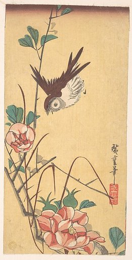 Roses and Sparrow