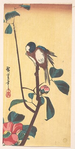 Camellia and Blue-Headed Bird
