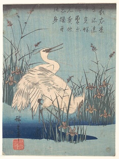 Egrets amid Irises and Grasses