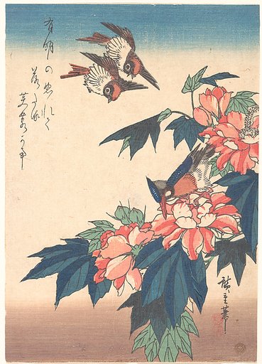 Swallows and Kingfisher with Rose Mallows