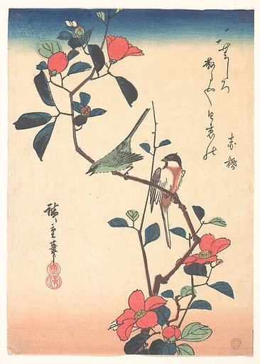 Japanese White-eye and Titmouse on a Camellia Branch