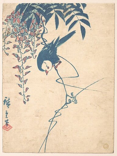 Wisteria and White-headed Bird