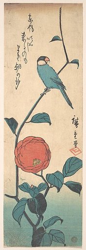 Camellia and Finch