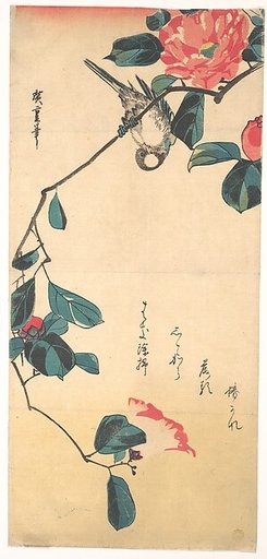 Camellia and Bullfinch