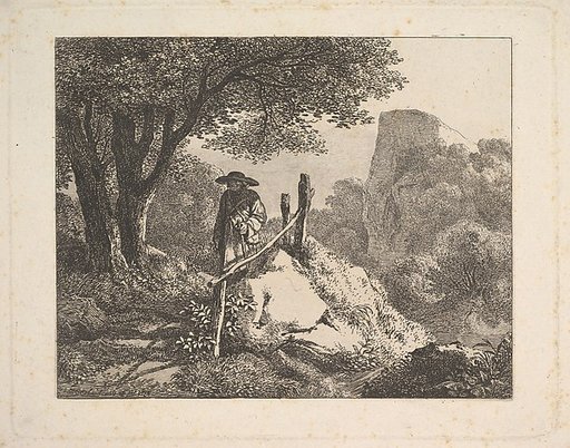 A Shady Enclosure of Trees