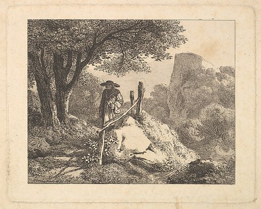 A Shady Enclosure of Trees