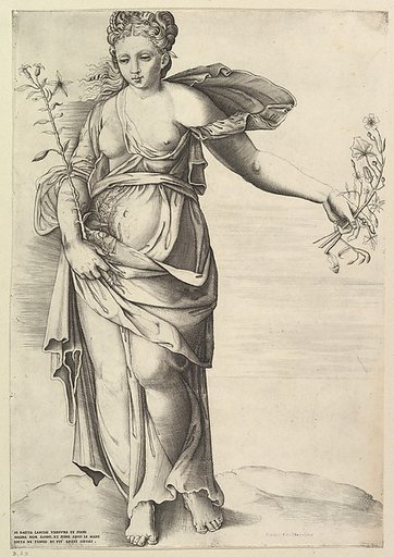 Flora