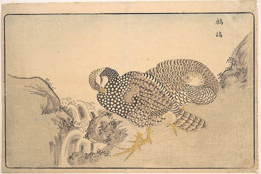 Zhe gu