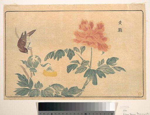 Chinese Oriole and Peonies