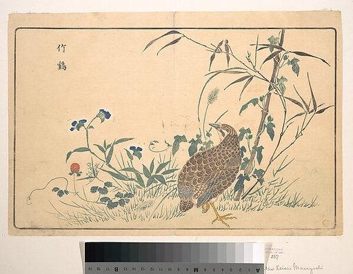 Zhu ji