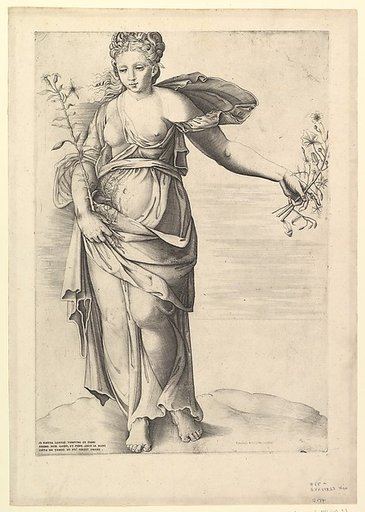 Flora, from "Speculum Romanae Magnificentiae"