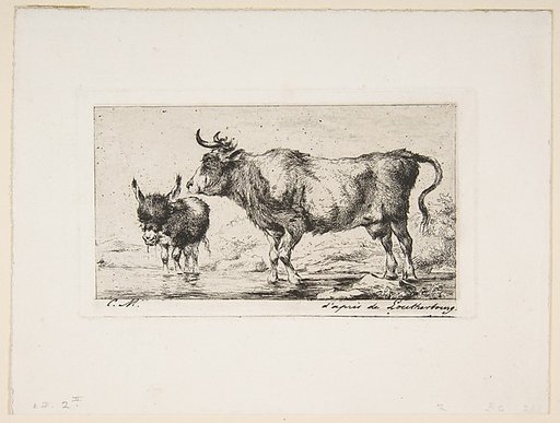 Cow and Ass
