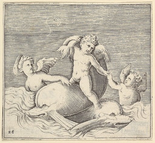 Three Cupids and Two Dolphins, from "Ex Antiquis Cameorum et Gemmae Delineata/ Liber Secundus/et ab Enea Vico Parmen Incis"