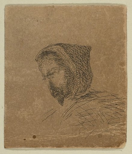Hooded Male Head (from Sketches on the Coast Survey Plate)