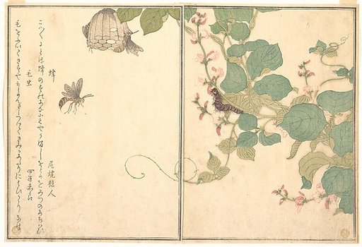 Paper Wasp (Hachi); Hairy Caterpillar (Kemushi), from the Picture Book of Crawling Creatures (Ehon mushi erami)