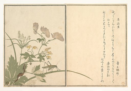 Katydid (Umaoi-mushi); Centipede, (Mukade), from the Picture Book of Crawling Creatures (Ehon mushi erami)