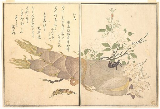 Mole Cricket (Kera); Earwig, (Hasami-mushi), from the Picture Book of Crawling Creatures (Ehon mushi erami)