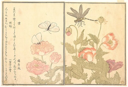 Butterfly (Chō); Dragonfly (Kagerō or Tonbo), from the Picture Book of Crawling Creatures (Ehon mushi erami)