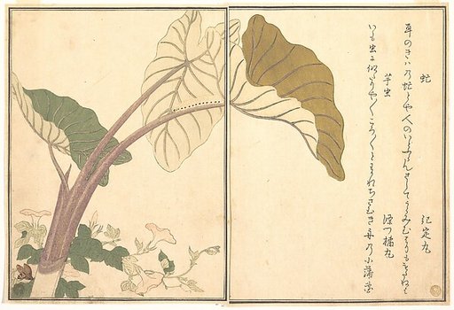 Horsefly (abu); Green Caterpillar, imomushi, from the Picture Book of Crawling Creatures (Ehon mushi erami)