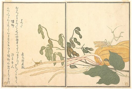 Cone-headed Grasshopper or Locust, (batta); Praying Mantis (Tōrō or Kamakiri), from the Picture Book of Crawling Creatures (Ehon mushi erami)