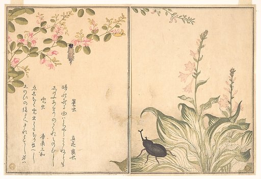 Bagworm (Minomushi); Horned Scarab Beetle (Kabutomushi), from the Picture Book of Crawling Creatures (Ehon mushi erami)