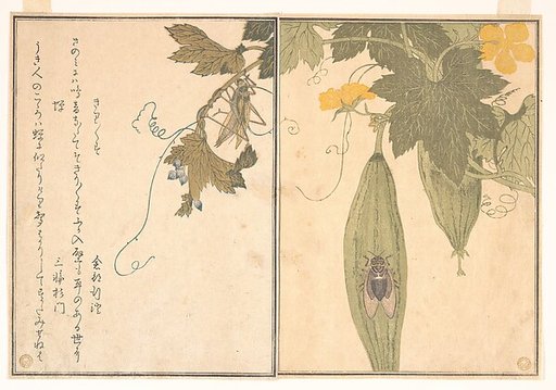 Grasshopper (Kirigirisu); Cicada (Semi), from the Picture Book of Crawling Creatures (Ehon mushi erami)