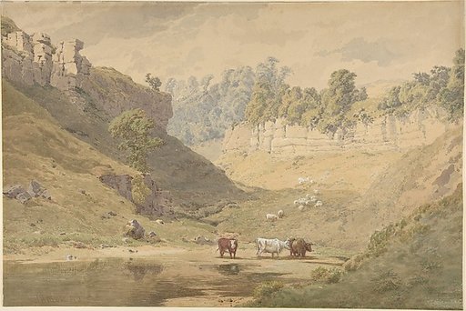 Cattle at a watering hole in a valley