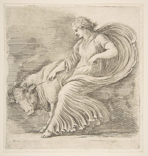 Young Woman Trying to Stop a Bull