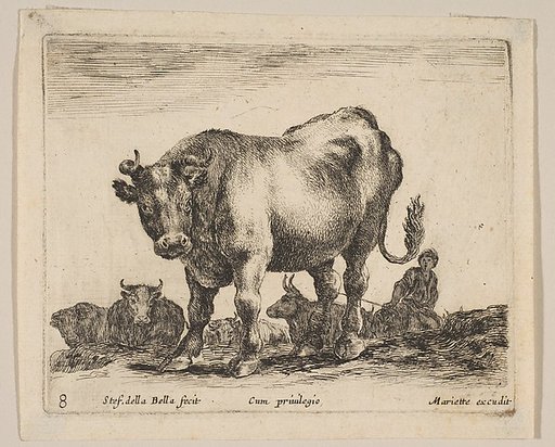 Plate 8: Ox, from "Various animals" (Diversi animali)