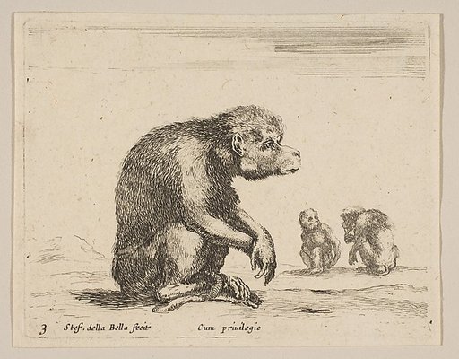 Plate 3: seated monkey, from "Various animals" (Diversi animali)