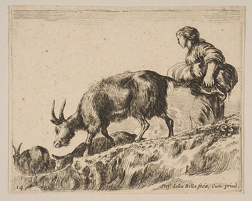 Plate 14: Shepherdess herding goats, from "Various animals" (Diversi animali)