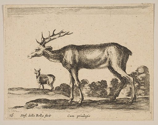 Plate 16: Stag, from "Various animals" (Diversi animali)