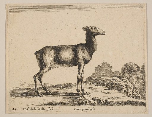 Plate 15: Doe, from "Various animals" (Diversi animali)