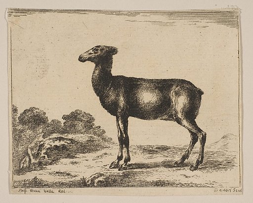Plate 15: Doe, from "Various Animals" (Diversi Animali)