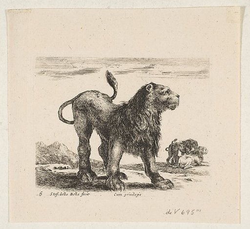 Plate 6: Lion, from "Various animals" (Diversi animali)