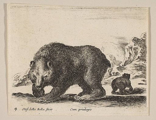 Plate 4: Bear, from "Various animals" (Diversi animali)