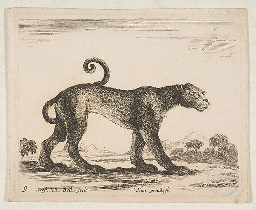 Plate 9: Leopard, from "Various animals" (Diversi animali)