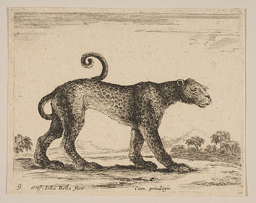 Plate 9: Leopard, from "Various animals" (Diversi animali)