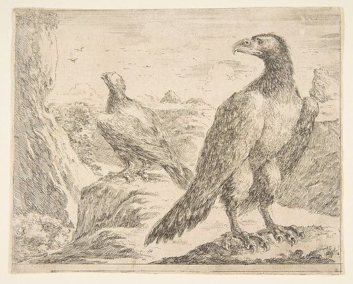 Two Eagles, from "Eagles"  (Les Aigles)