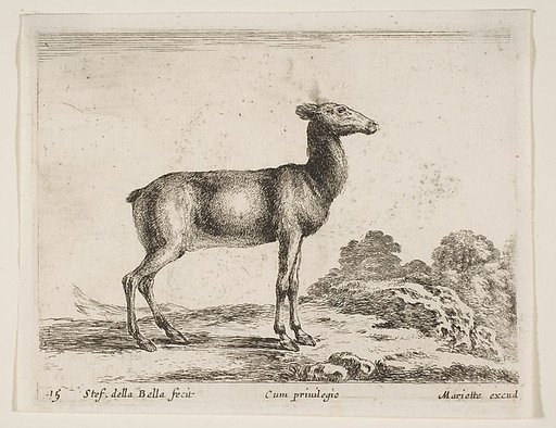 Doe, plate 15 from "Various Animals" (Diversi Animali)