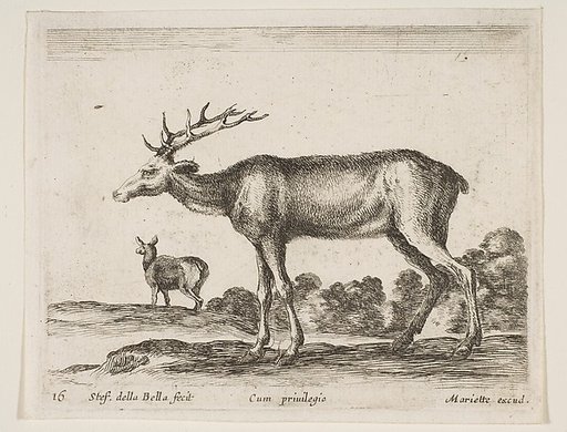 Stag, plate 16 from "Various Animals" (Diversi Animali)
