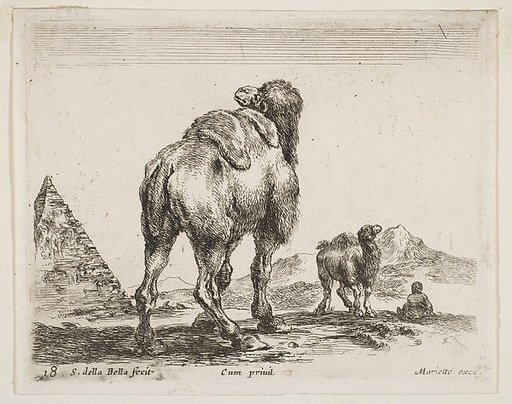 Camel viewed from behind with pyramid at left, plate 18 from "Various Animals" (Diversi Animali)