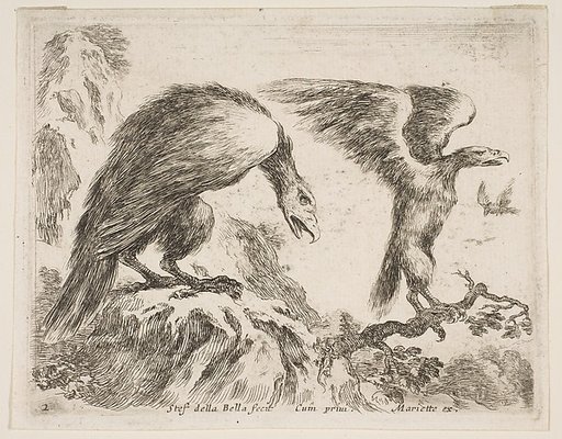 Eagle and eaglet, plate 2 from "Various Animals" (Diversi Animali)