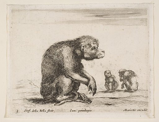 Seated monkey, plate 3 from "Various Animals" (Diversi Animali)