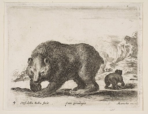 Bear, plate 4 from "Various Animals" (Diversi Animali)
