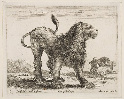Lion, plate 6 from "Various Animals" (Diversi Animali)