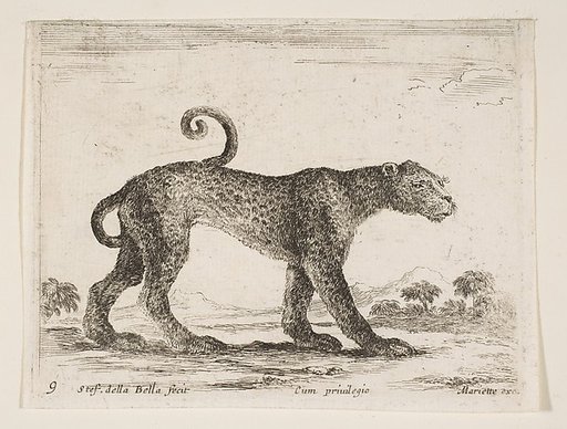 Leopard, plate 9 from "Various Animals" (Diversi Animali)