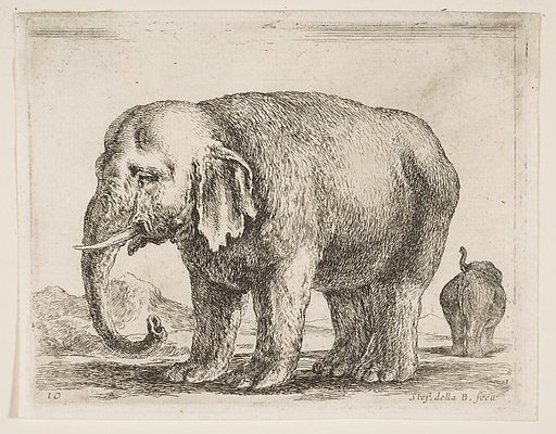 Elephant, plate 10 from "Various Animals" (Diversi Animali)